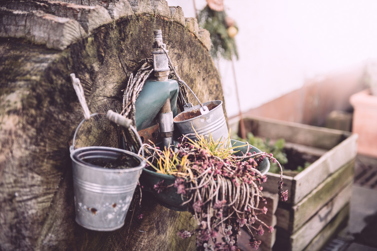 Hof Brinkmann - Hofansicht